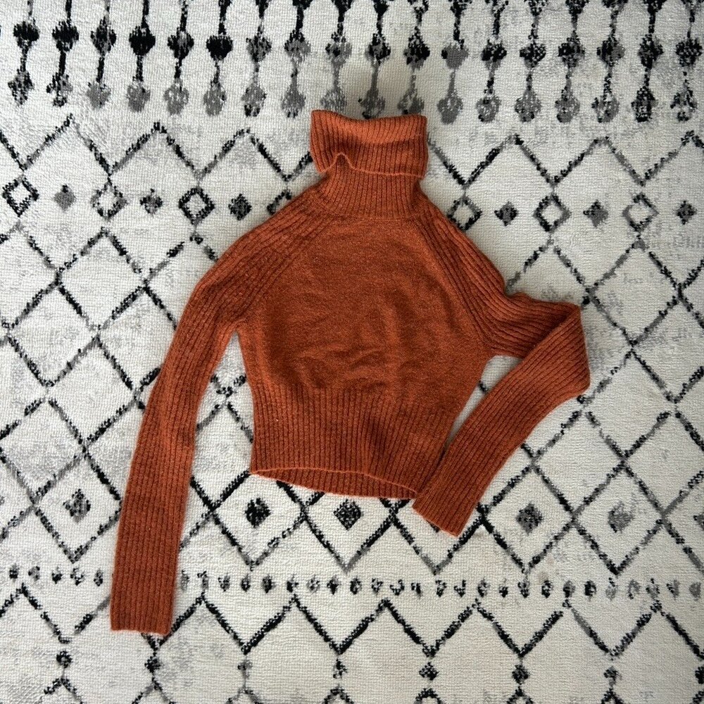 BDG URBAN OUTFITTERS Crop Turtleneck Sweater In Rust